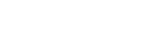 Digital Society Fund Logo